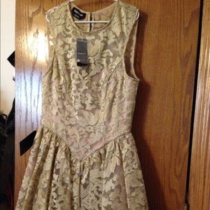 NWT BEBE gold lace mini dress sz0